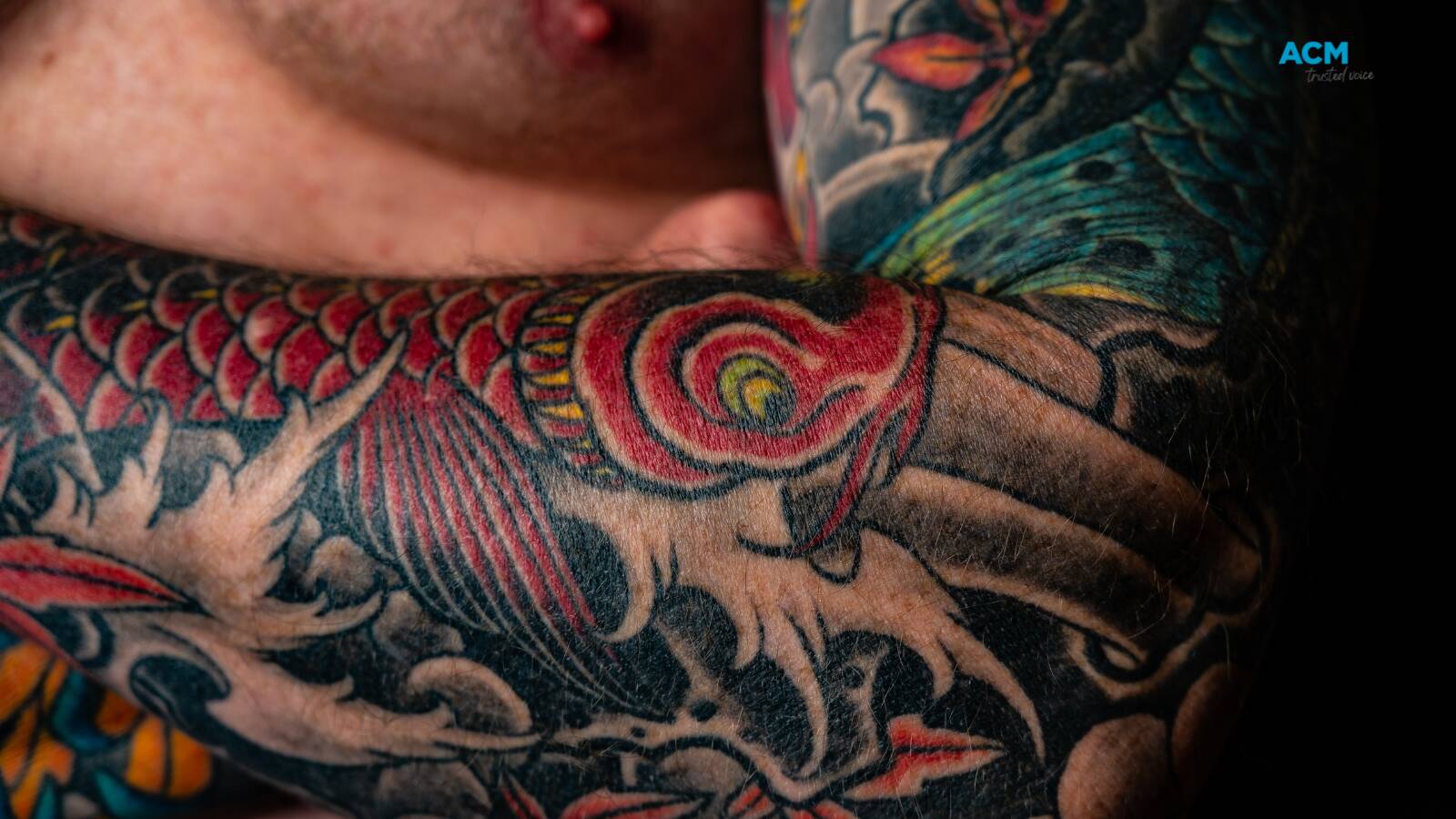 Patchwork Tattoos  Torso tattoos Tattoos Traditional snake tattoo
